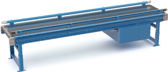 ASRS Carton Conveyor System